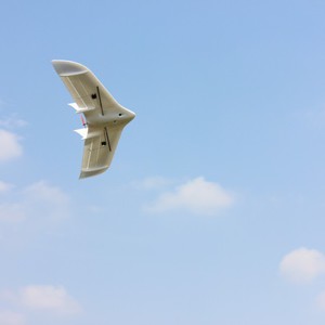 Летающее крыло Z-84