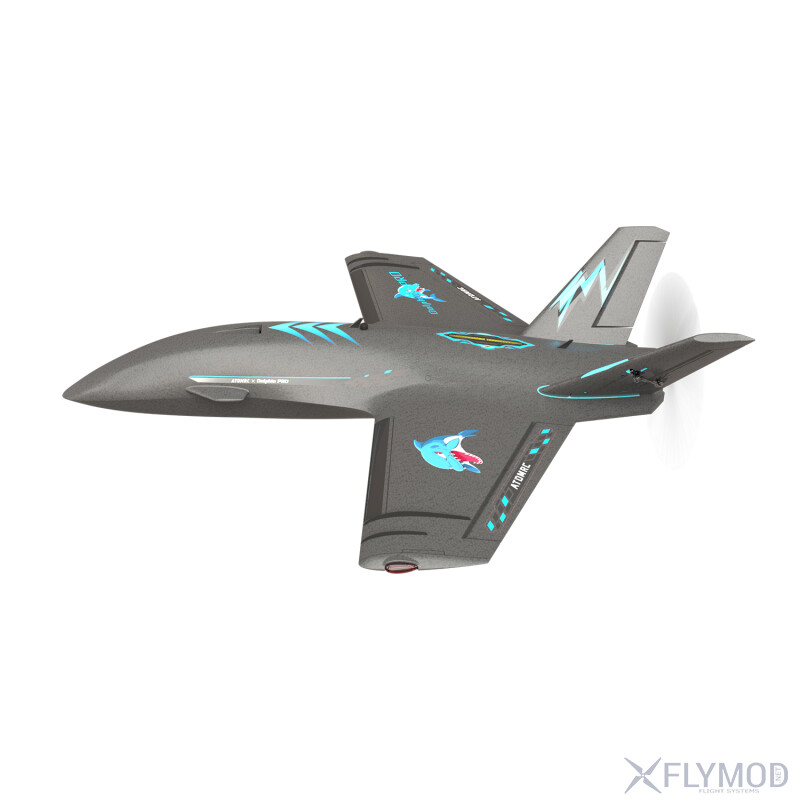 Літаюче крило Atomrc Dolphin Pro FPV 800мм PNP S