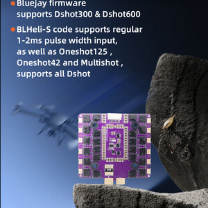 Регулятор швидкості FLYCOLOR BLS 05 4in1 80A 3-8S ESC