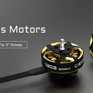 Міні FPV квадрокоптер CaddxFPV Gofilm 20 motor мотор