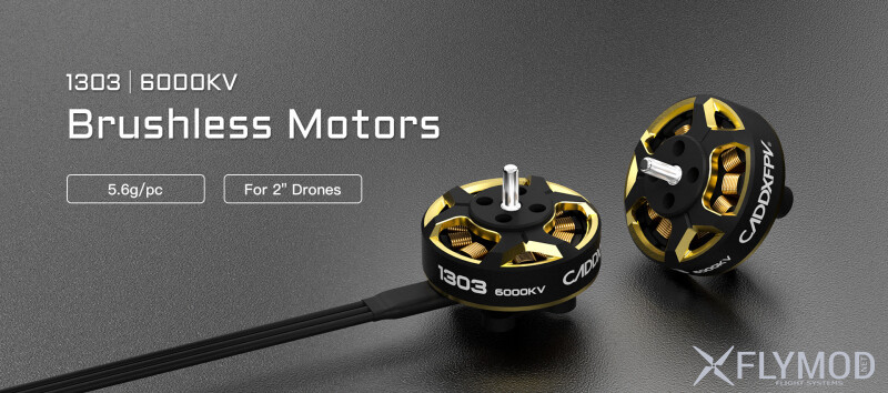 Міні FPV квадрокоптер CaddxFPV Gofilm 20 motor мотор