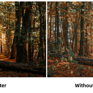 Комплект цифрової FPV системи Walksnail Avatar Moonlight Kit