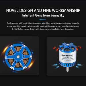 Безколекторний мотор SUNNYSKY X2820-III KV1000